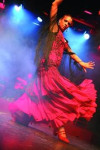 Flamenco